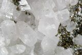Columnar Calcite w/ Sparkling Chalcopyrite & Pyrite - Fluorescent! #360642-1